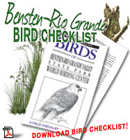 Estero Llano Bird Checklist
