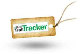 eBird-Tracker Link